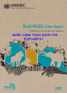 Read more about the article The UNODC 2020 Wildlife Crime Report-More Harm than Good for Elephants?