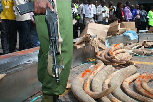 Read more about the article July 2009: Jomo Kenyatta IA –  Kenya seizes coffin-stashed ivory