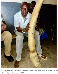 Read more about the article UGANDA – Senior Army Officer Arrested with Large Elephant Tusk