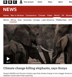 Read more about the article Elephant Fatality Numbers From Drought – Is Clarity Required?