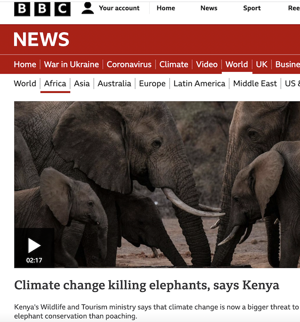 You are currently viewing Elephant Fatality Numbers From Drought – Is Clarity Required?