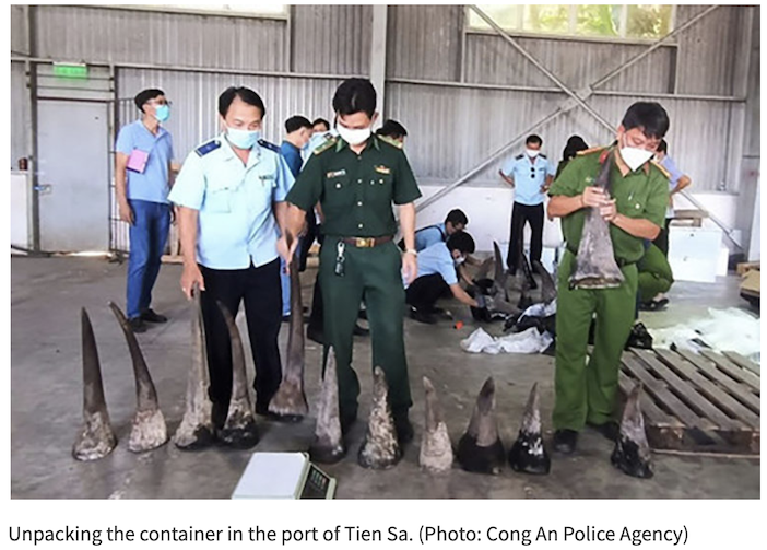 You are currently viewing Vietnamese Court Hands Out 13 Year Prison Sentence to Wildlife Trafficker