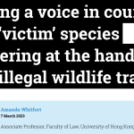 Giving a voice in court to the ‘victim’ species suffering at the hands of the illegal wildlife trade – EIA